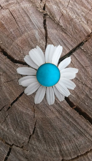 Mimmo Iacopino Chimere fotografia velluto raso estroflesso fiore