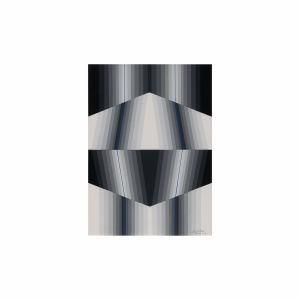 Horacio Garcia Rossi Couleur Gris Lumière GRAV Colore Grigio Luce