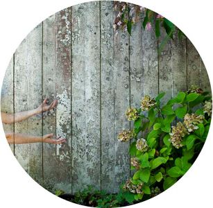 Francesca Della Toffola Accerchiati incanti ortensie Antonia Pozzi fotografia italiana