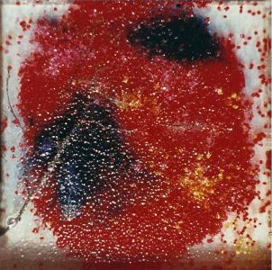 Omar Ronda Red Frozen plastic Genetic fusion