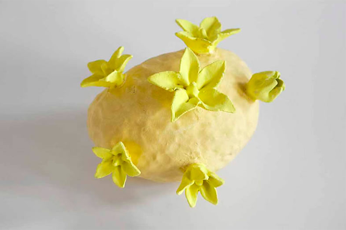 Fiori della patata di Kazumasa Mizokami