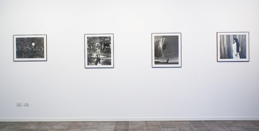 Mostra Long Thanh