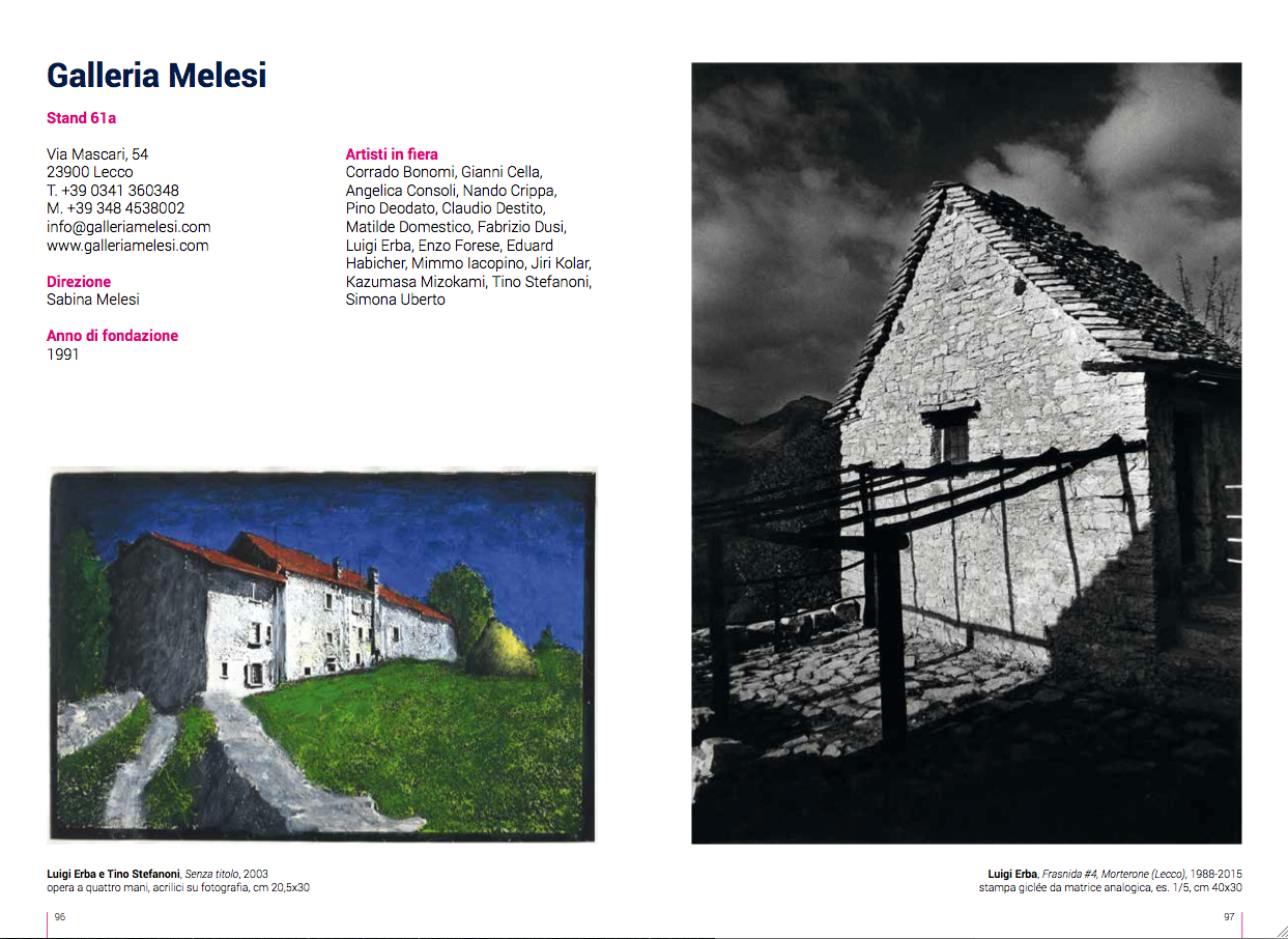 Galleria Melesi, Catalogo BAF 2018